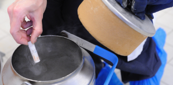 Une personne range un prélèvement dans une cuve d'autoconservation