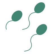 icône avec trois spermatozoïdes